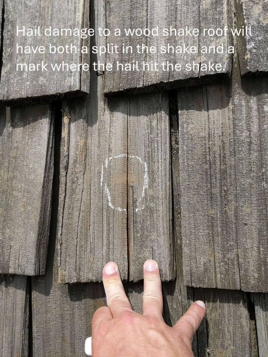 Hail damage on a wood shake roof showing both a split and a smashed butt.